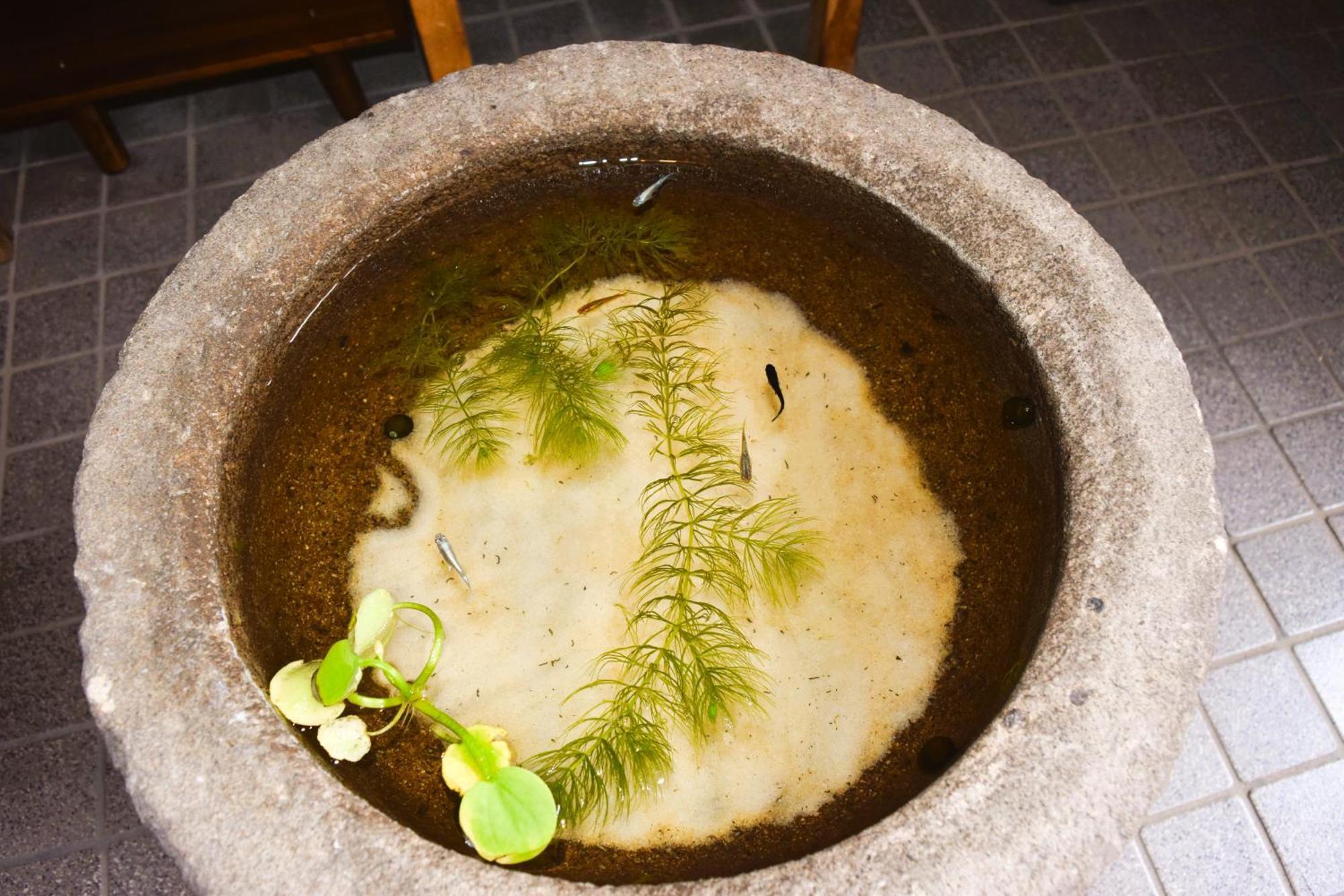 Atagoya Villa Takajama Kültér fotó